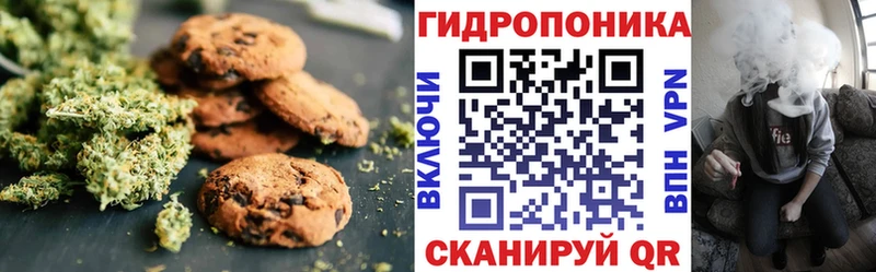 Купить закладки  Владикавказ  Canna-Cookies конопля 