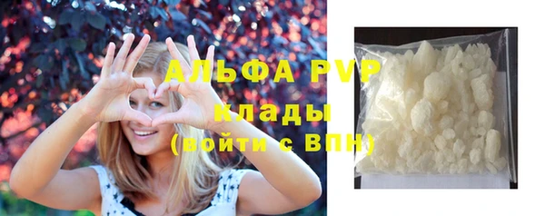 ешки Новозыбков
