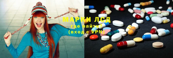 стафф Новокубанск