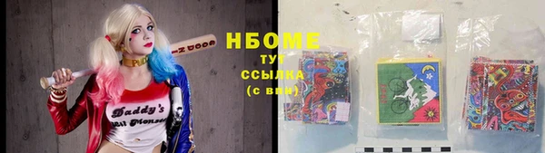 стафф Новокубанск