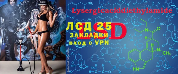 ешки Новозыбков