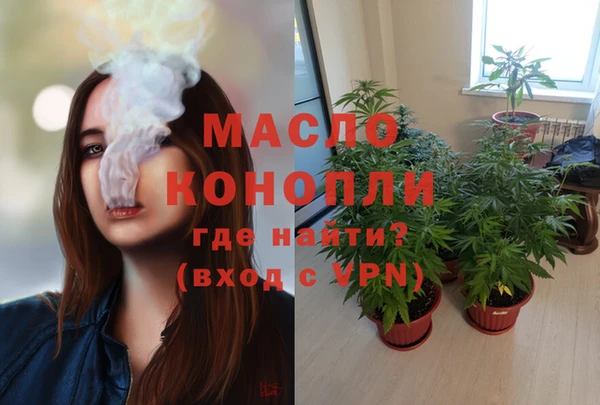 ешки Новозыбков